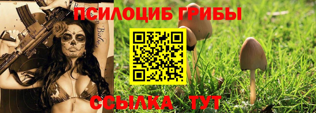 Псилоцибиновые грибы GOLDEN TEACHER  Вход с VPN  Ульяновск 